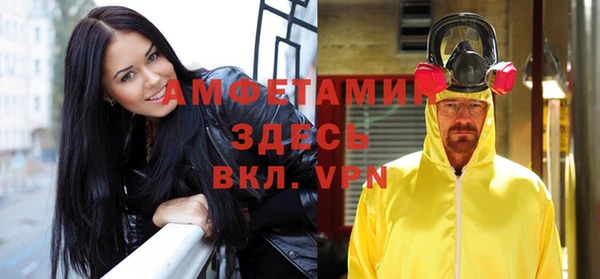 сатива Алзамай