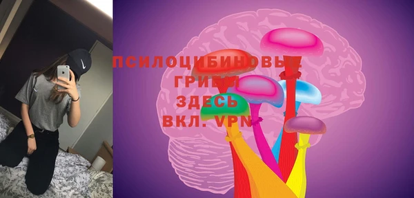 сатива Алзамай
