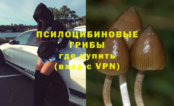 сатива Алзамай