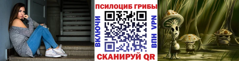 где купить   Сибай  Галлюциногенные грибы Psilocybine cubensis 