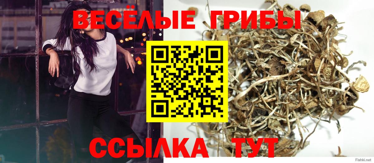 Галлюциногенные грибы Magic Shrooms Сибай