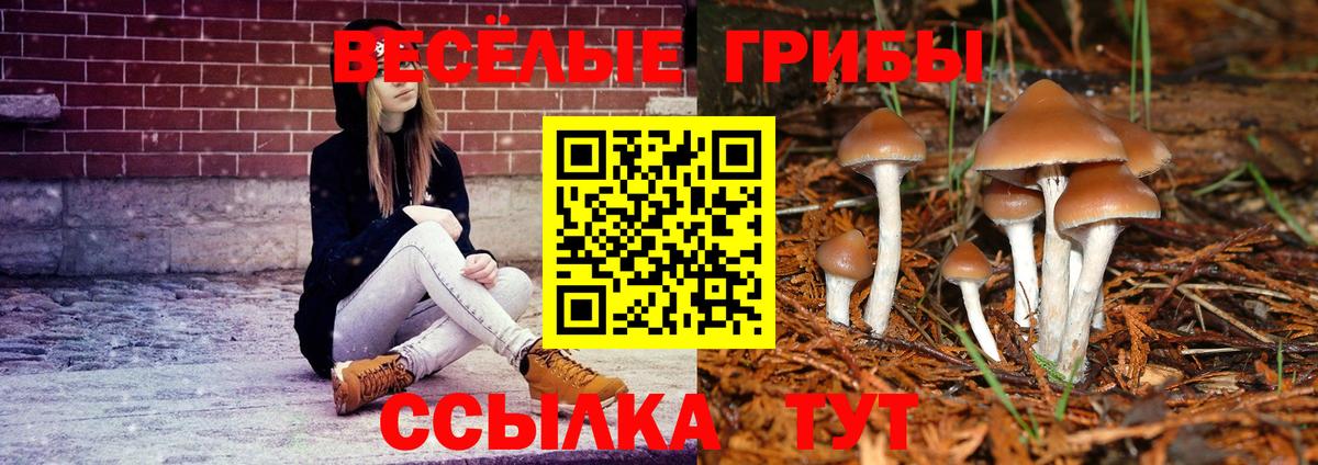 Псилоцибиновые грибы прущие грибы  Вход с VPN  Сибай 